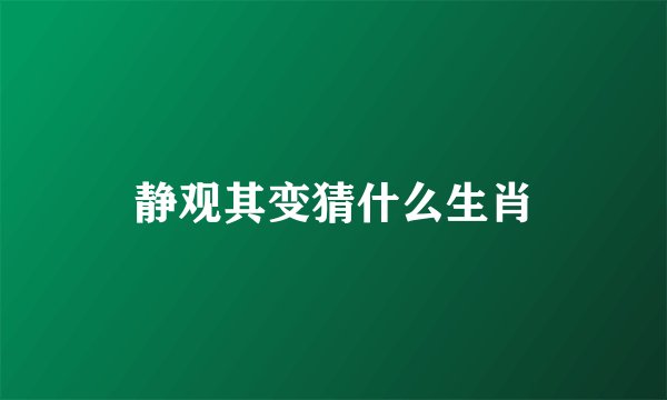 静观其变猜什么生肖