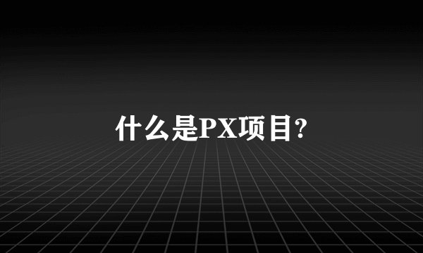 什么是PX项目?