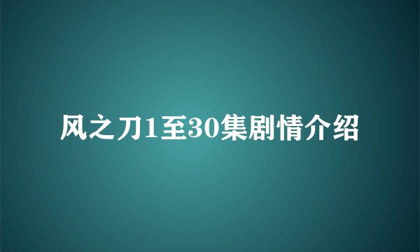风之刀1至30集剧情介绍