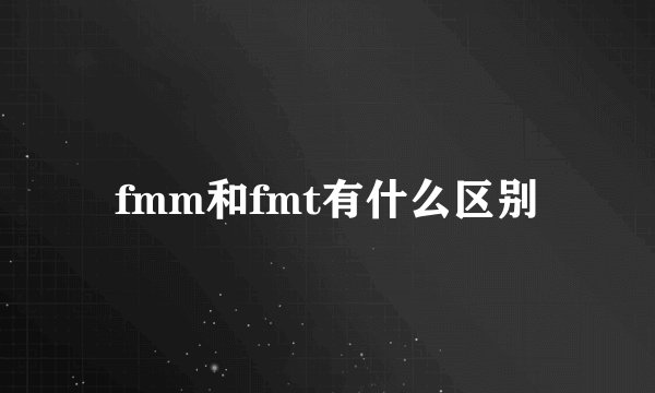 fmm和fmt有什么区别
