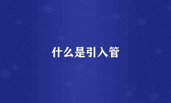 什么是引入管