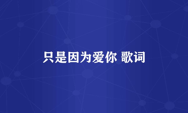只是因为爱你 歌词