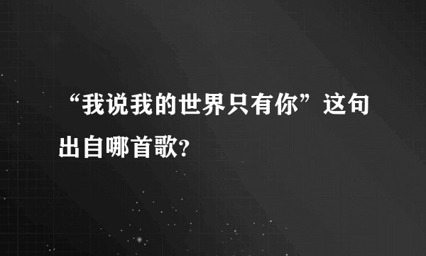 “我说我的世界只有你”这句出自哪首歌？
