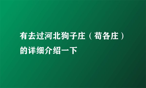 有去过河北狗子庄（苟各庄）的详细介绍一下
