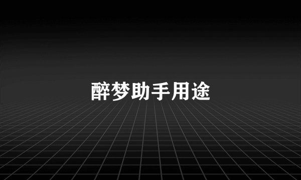 醉梦助手用途