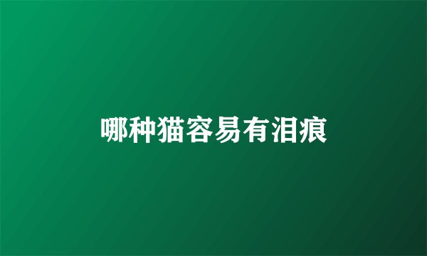 哪种猫容易有泪痕