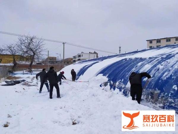 紧急!今冬北方等地气温偏低,可能出现极端天气!警惕蔬菜被冻伤
