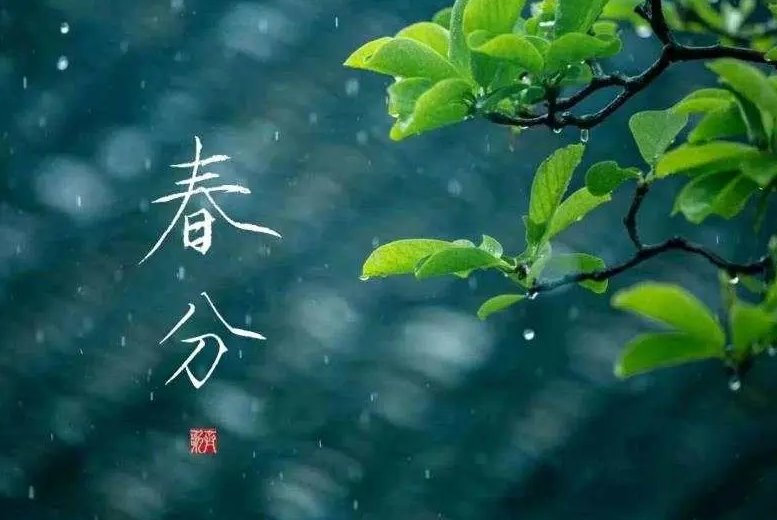 春分的气候特点是什么