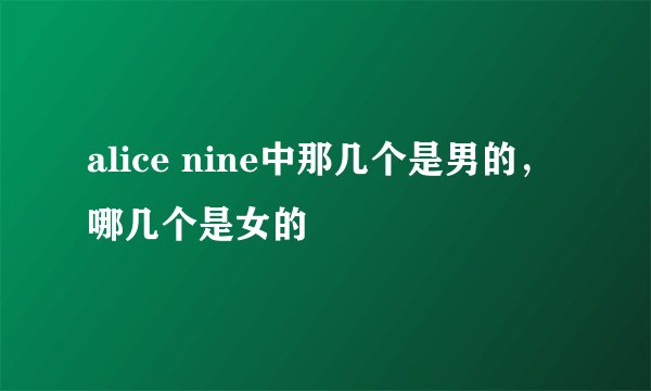 alice nine中那几个是男的，哪几个是女的