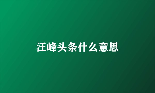 汪峰头条什么意思
