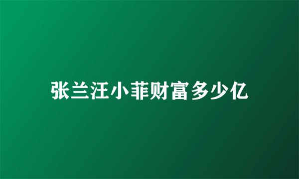 张兰汪小菲财富多少亿
