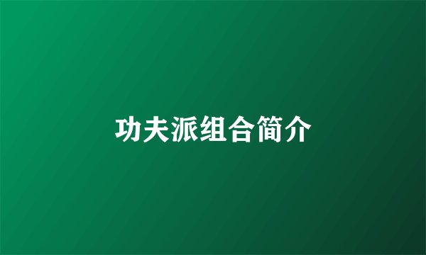 功夫派组合简介