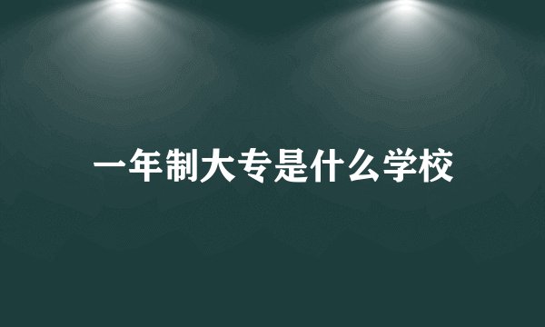 一年制大专是什么学校
