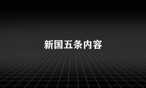 新国五条内容