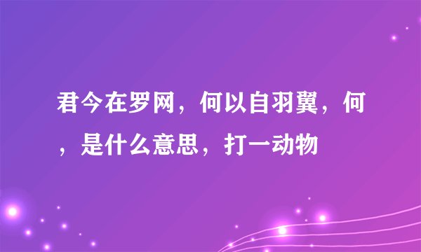 君今在罗网，何以自羽翼，何，是什么意思，打一动物