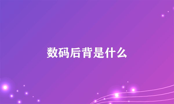 数码后背是什么