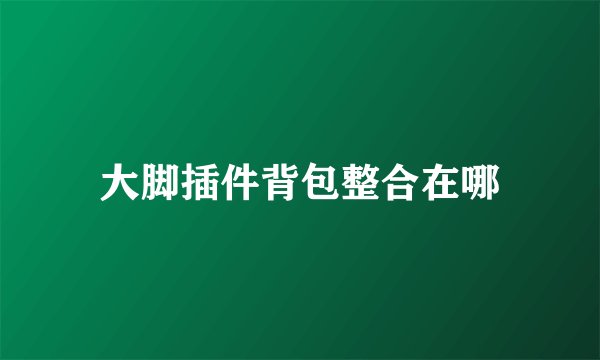 大脚插件背包整合在哪
