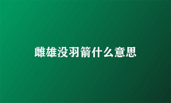 雌雄没羽箭什么意思