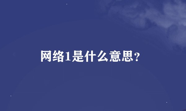 网络1是什么意思？