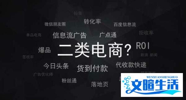 什么是二类电商和一类电商，二类电商有哪些坑？终于有人说了实话