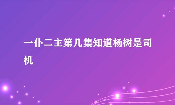 一仆二主第几集知道杨树是司机