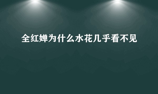 全红婵为什么水花几乎看不见