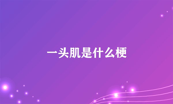 一头肌是什么梗