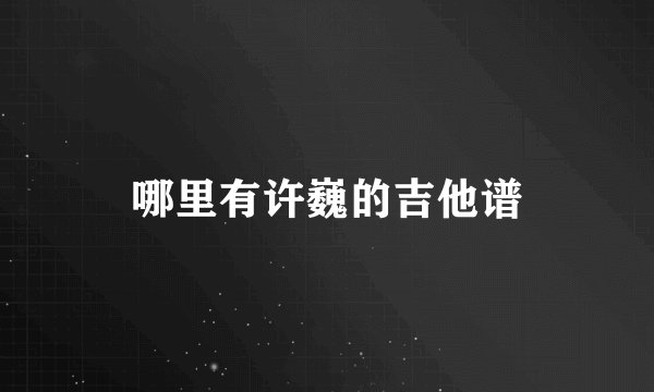 哪里有许巍的吉他谱