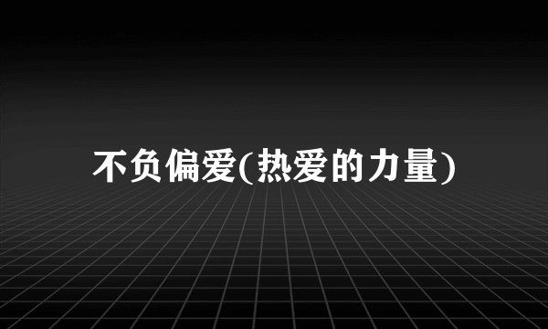 不负偏爱(热爱的力量)