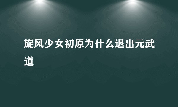旋风少女初原为什么退出元武道
