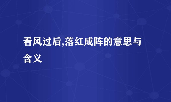 看风过后,落红成阵的意思与含义