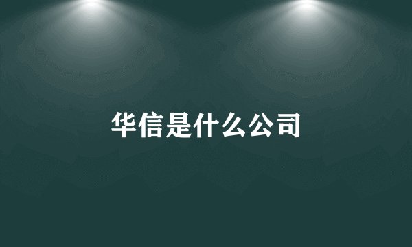 华信是什么公司