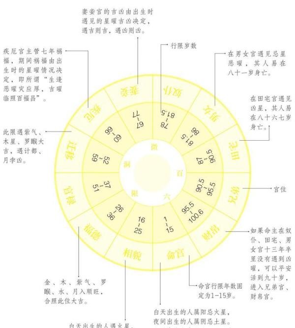 星格有哪些种类？