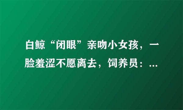 白鲸“闭眼”亲吻小女孩，一脸羞涩不愿离去，饲养员：差不多得了，为什么？