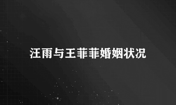 汪雨与王菲菲婚姻状况