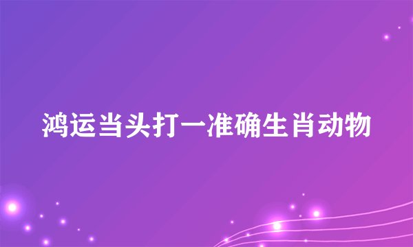 鸿运当头打一准确生肖动物