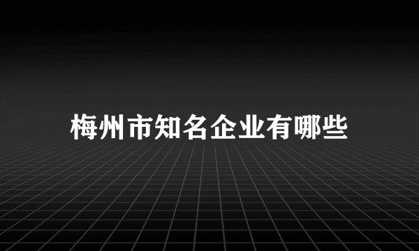 梅州市知名企业有哪些