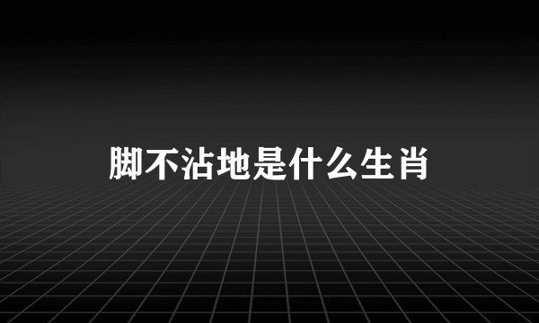 脚不沾地是什么生肖
