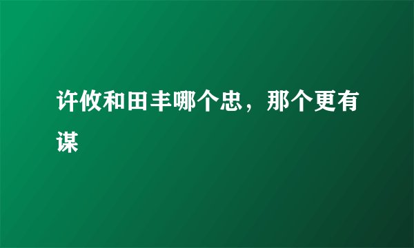许攸和田丰哪个忠，那个更有谋