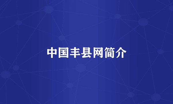 中国丰县网简介