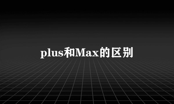plus和Max的区别