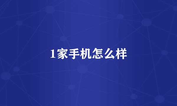 1家手机怎么样