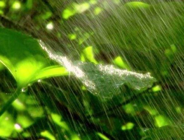 大小中雨分别是什么标志