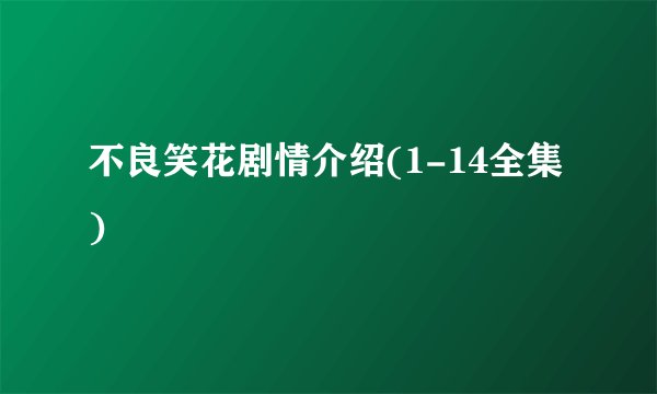 不良笑花剧情介绍(1-14全集)