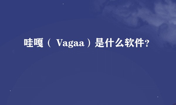 哇嘎（ Vagaa）是什么软件？