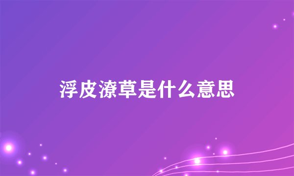 浮皮潦草是什么意思