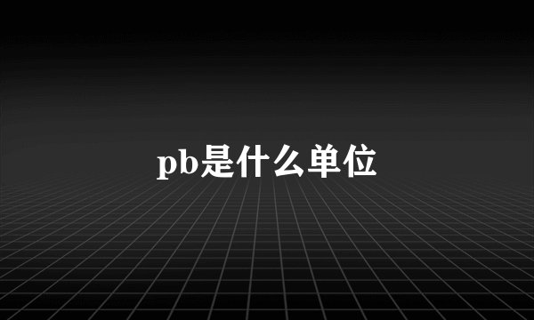pb是什么单位