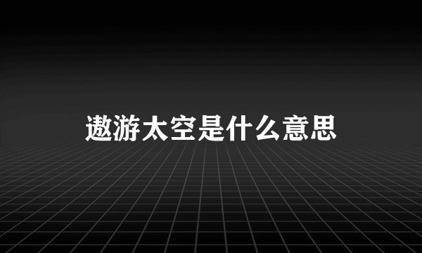 遨游太空是什么意思