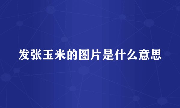 发张玉米的图片是什么意思