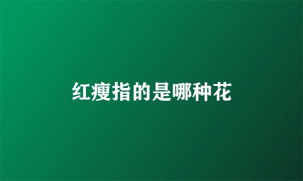 红瘦指的是哪种花